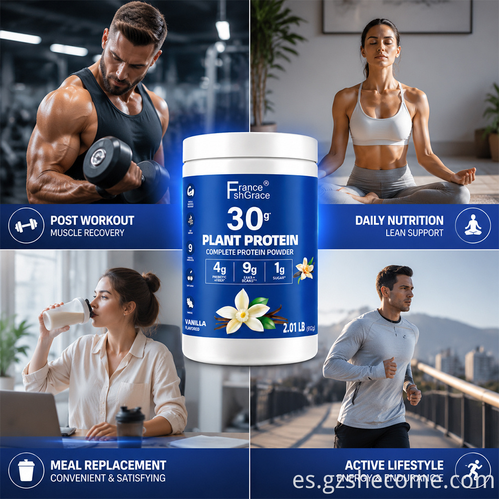 Plant Protein Powder9